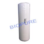 Fluoride Reduction Activated Alumina Water Filter Cartridge 10 x 2.5 inch