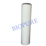 Iron Removal Water Filter Cartridge Pentek 20 x 4.5 inch