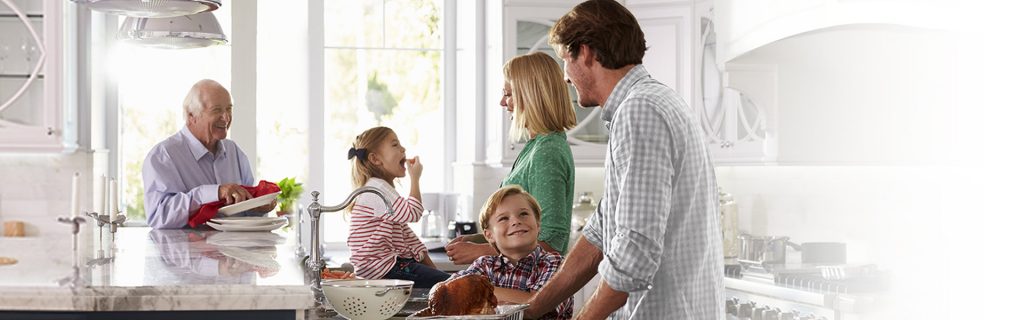 Cuntertop Water Filters Biopure Water For Life